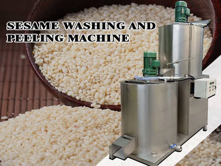 Sesame seed washing and peeling machine sold to Burkina Faso