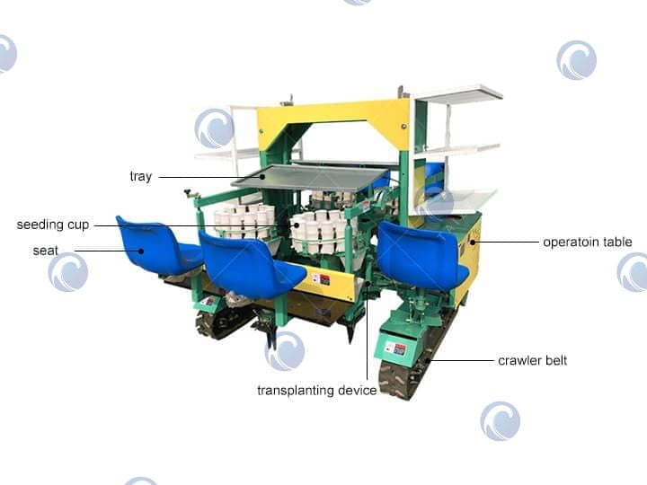 Structure of automatic onion transplanter