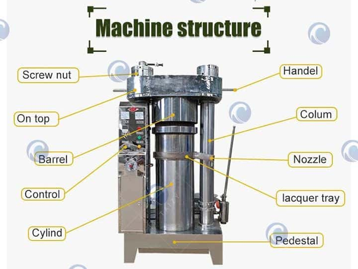 Estructura de la máquina prensadora de aceite de sésamo.