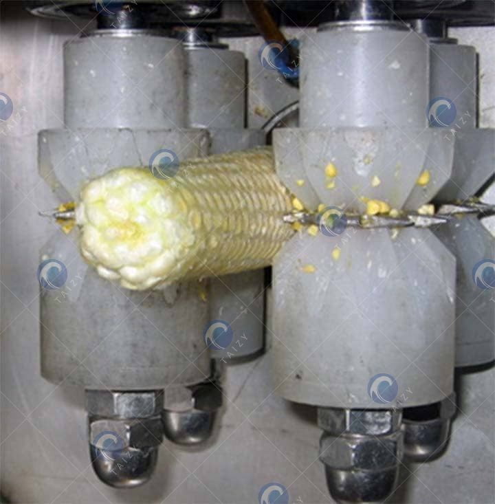 salida de mazorca de maíz 