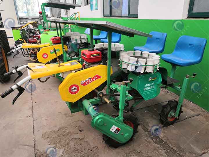 chili seedling transplanter's stock