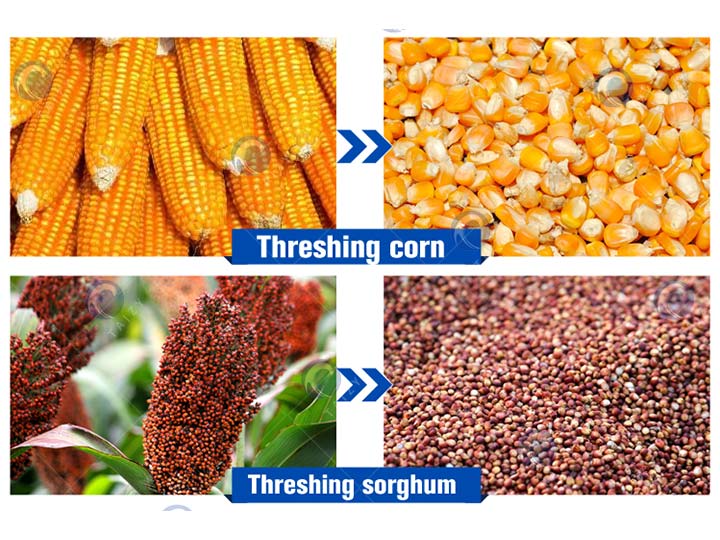 grains