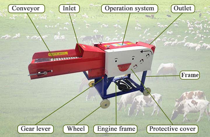 Animal Feed Cutting Grass Machine, Straw Cutter