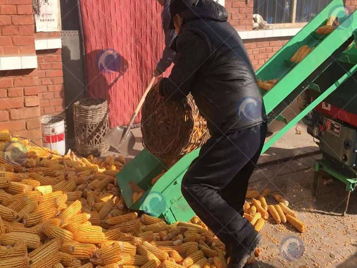 Maize sheller machine