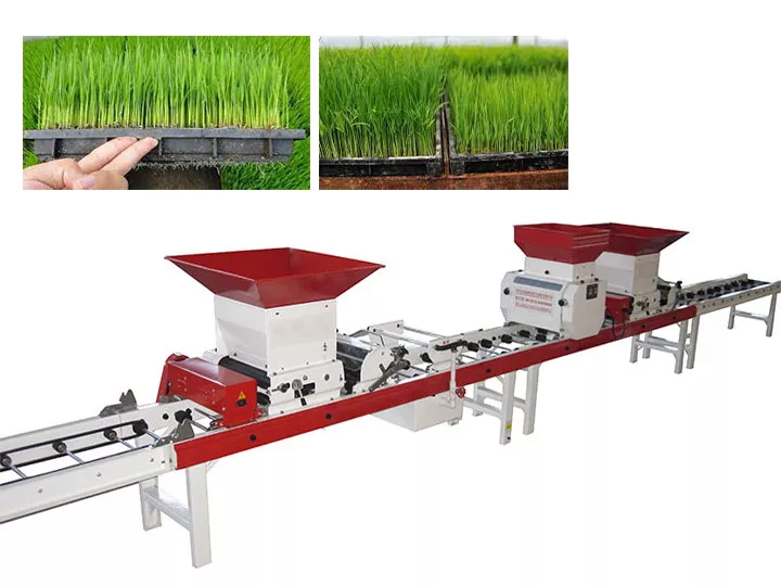 Automatic rice paddy seed sowing machine