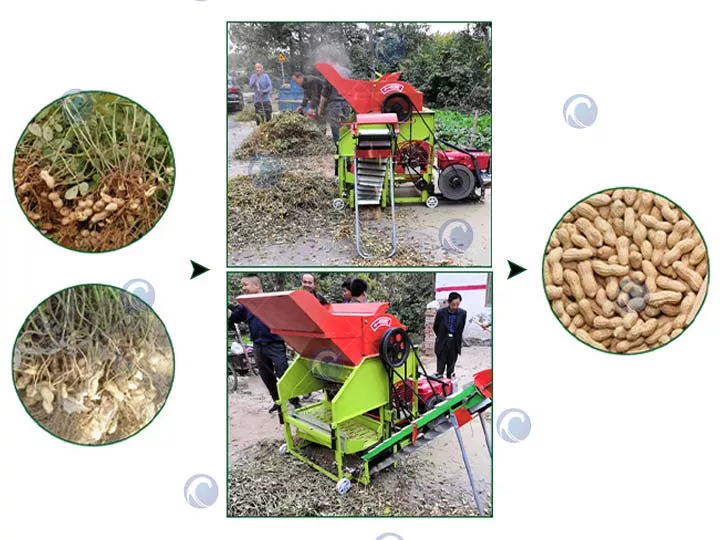 machine à cueillir des cacahuètes