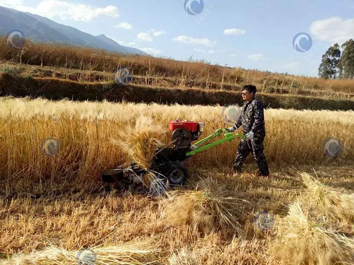 machine à lier le riz