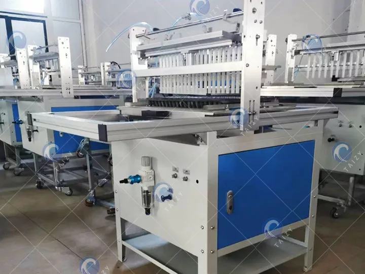 Fournir une machine de fabrication de plateaux à semences au Qatar