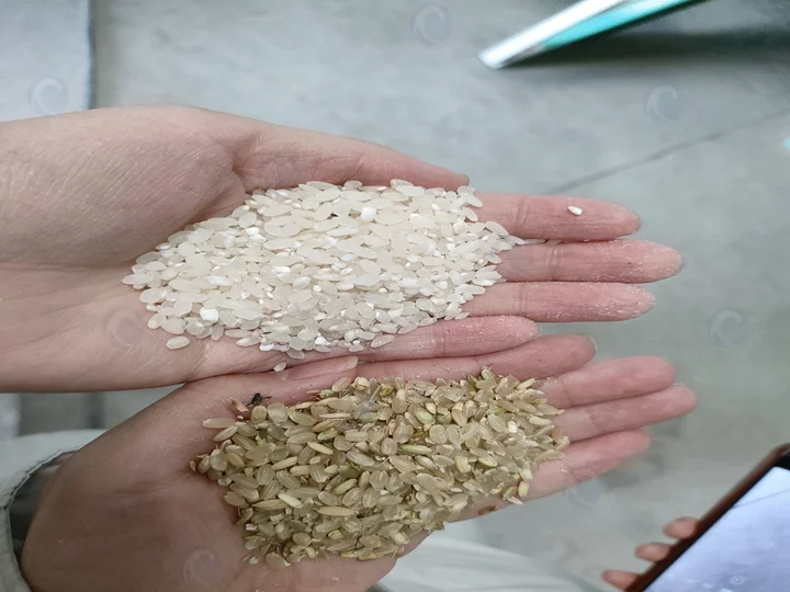 produit fini du moulin à riz