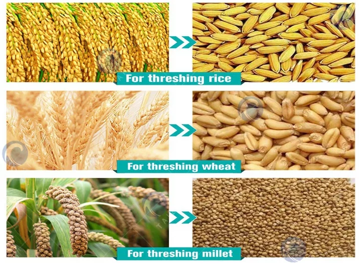 Materias primas de la máquina trilladora de arroz y trigo.