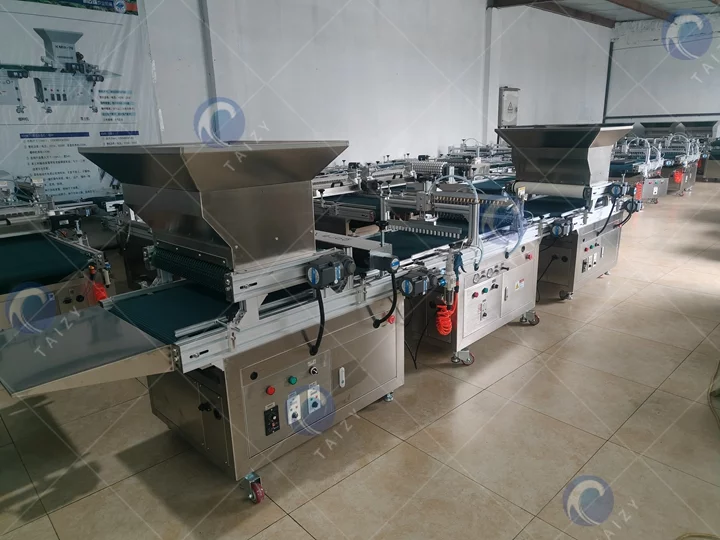 Vegetable nursery seedling machine for sale