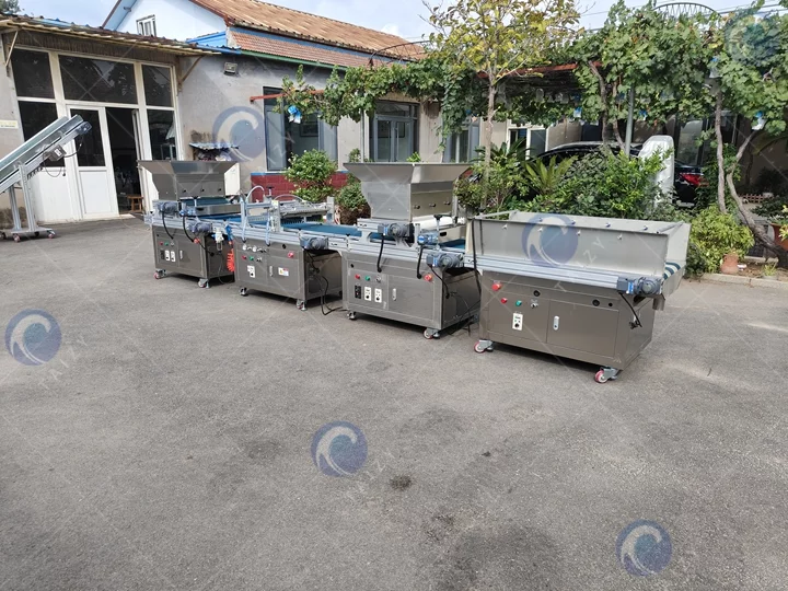 Vegetable nursery seedling machine price