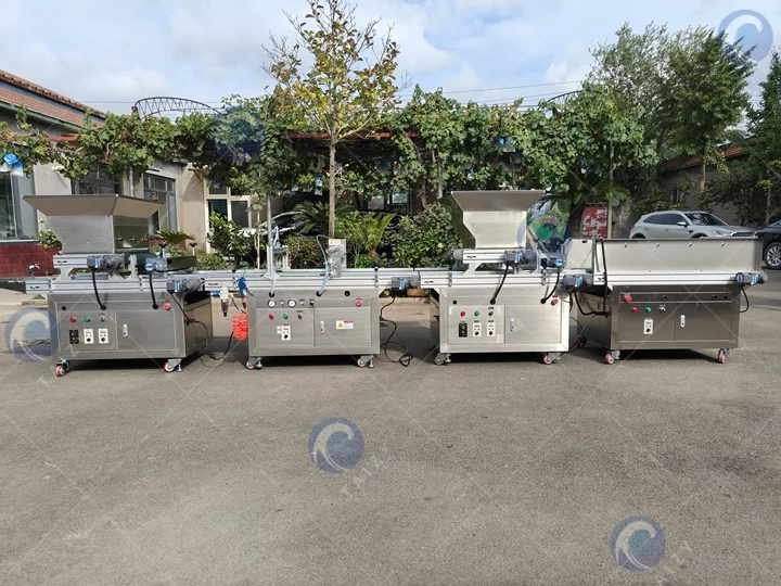 Vegetable nursery seedling machine sent to Moldova